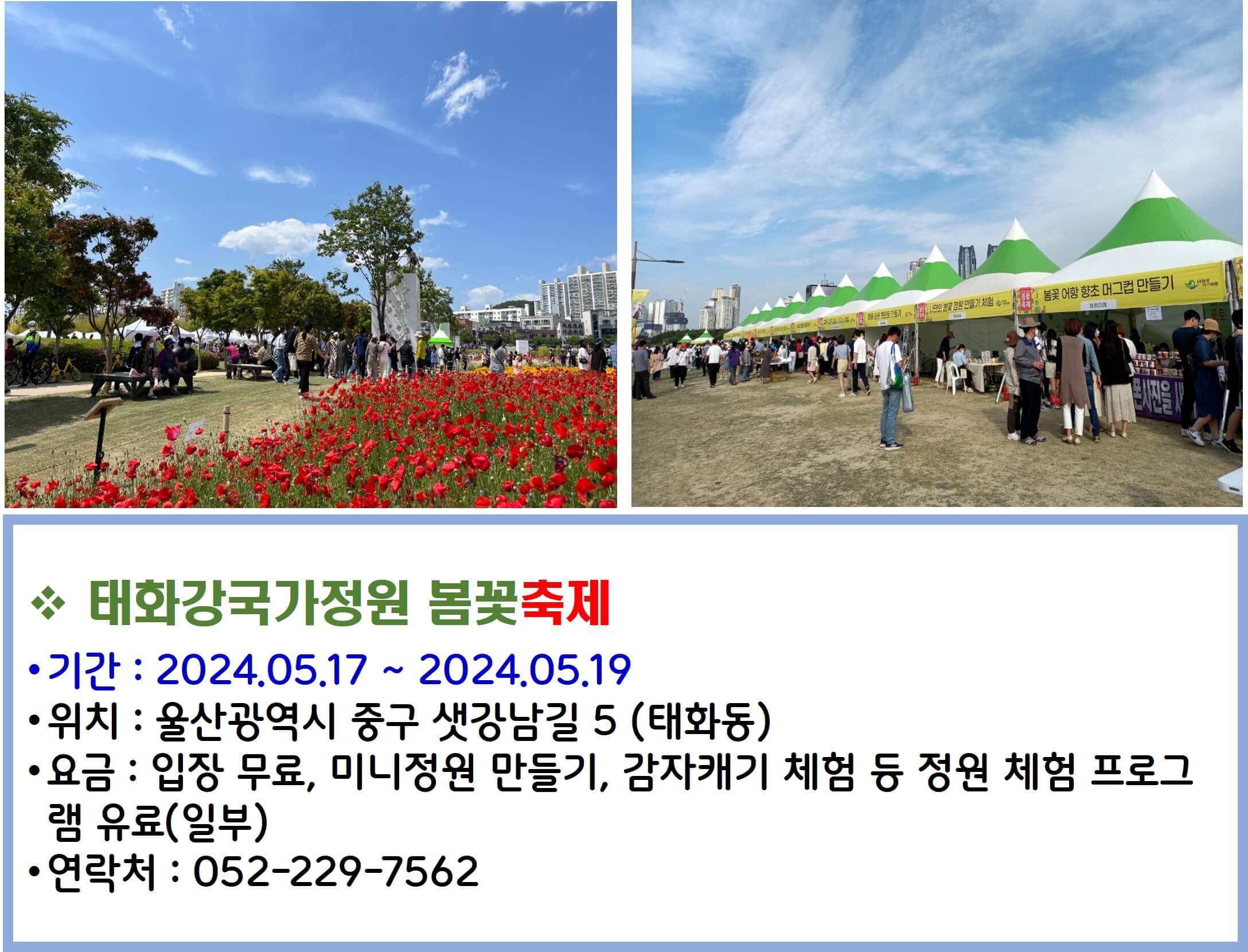 태화강국가정원 봄꽃축제