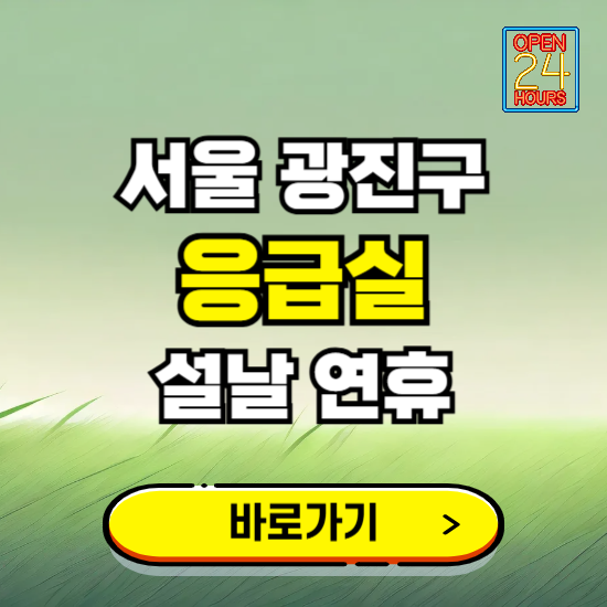 서울 광진구 설날 연휴 비상진료 응급실 병원 찾기 ❘ 내근처 24시 야간 심야 휴일 가능한 곳