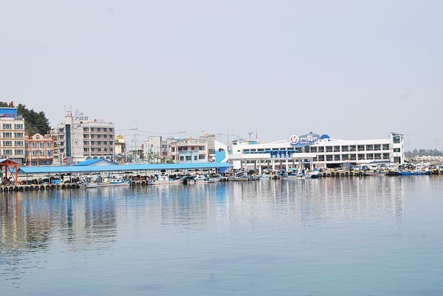 강릉 여행 맛집