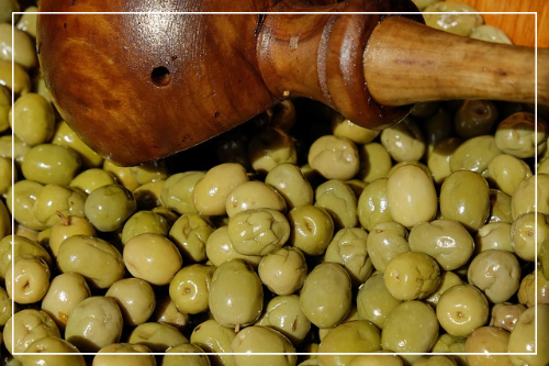 올리브오일 영양 성분