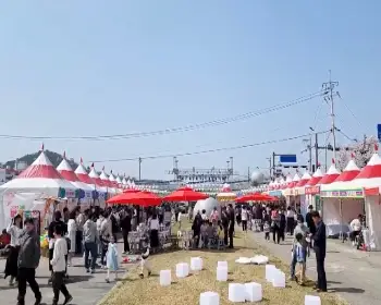 정읍 벚꽃축제_5