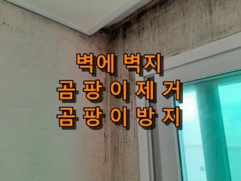 곰팡이 방지 제습 환기와 가구 띄우기 실내 온습도 관리_11