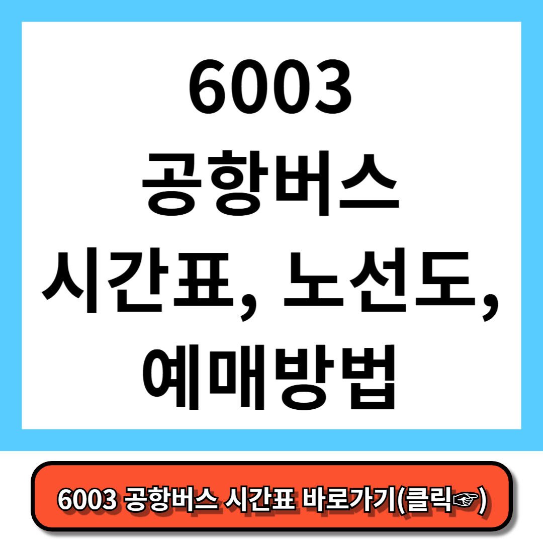 6003 공항버스 시간표, 노선도, 예매 방법 - 5분만에 총정리