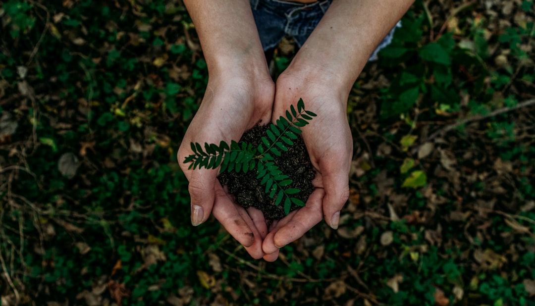 Sustainability.