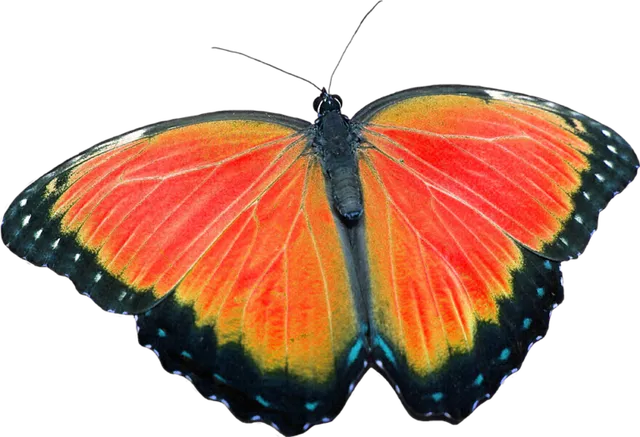 제습기 없이 습기 제거 끝 숯 염화칼슘 등 천연 제습제 활용법 완벽 가이드_1