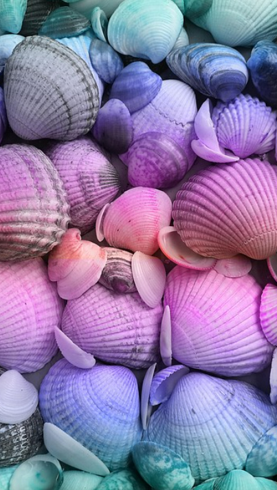 지속 가능한 해산물 소비: 바다를 지키는 친환경적인 선택