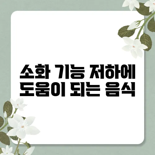 소화 기능 저하에 도움이 되는 음식