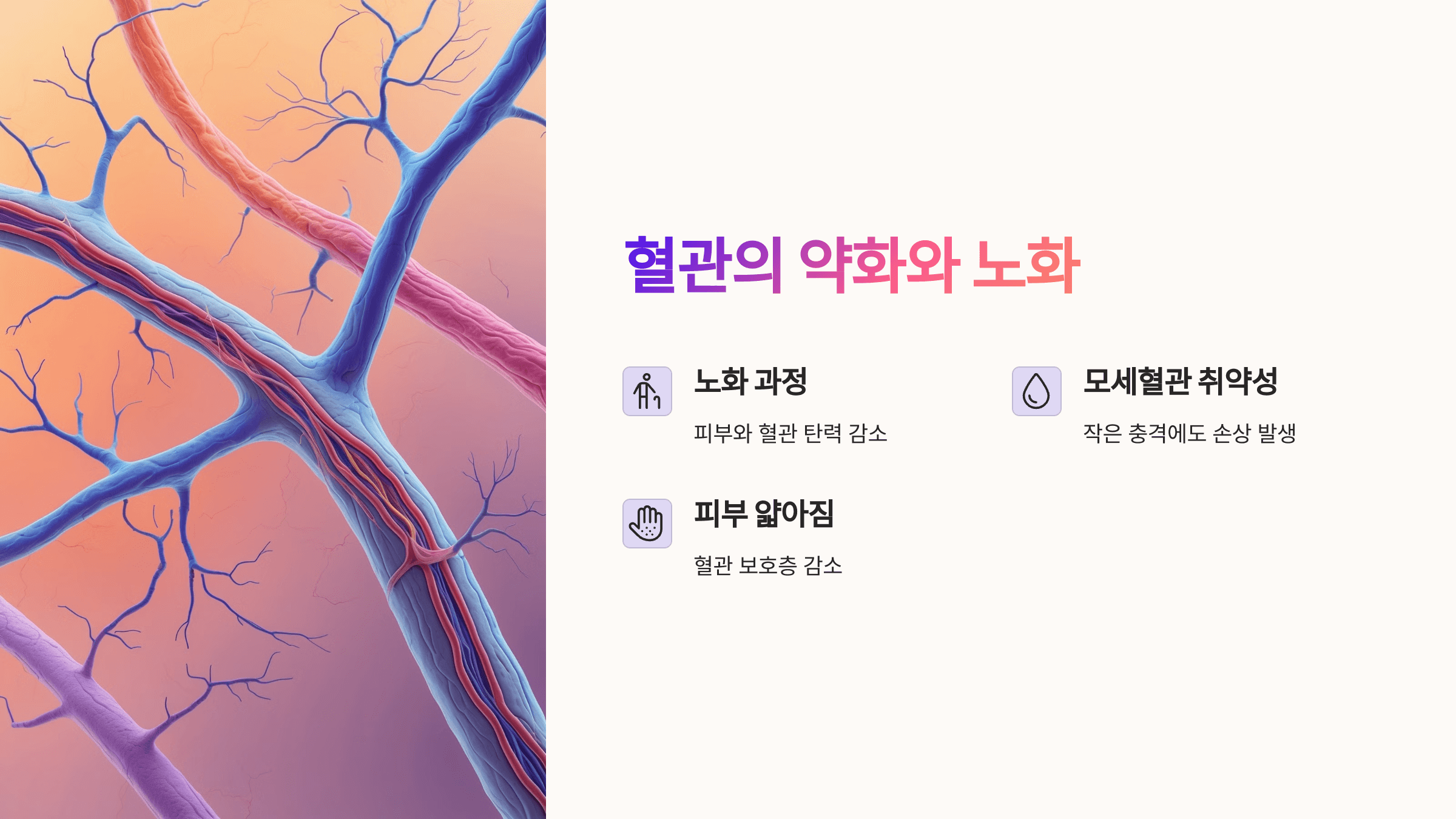 멍과 관련된 사진입니다.