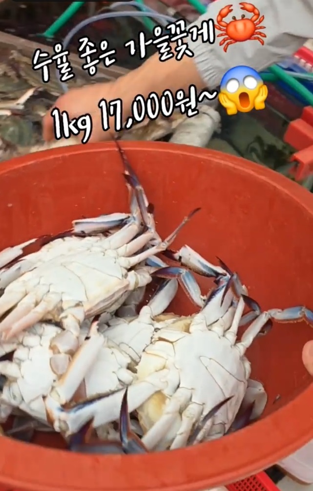 백반기행-서천-태진아-재래시장-서천특화시장