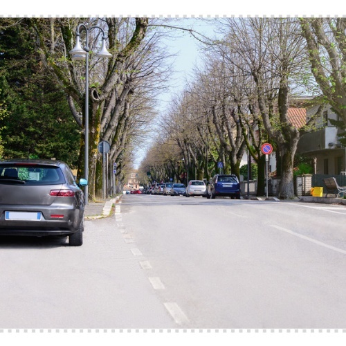 로드킬 사체처리 신고