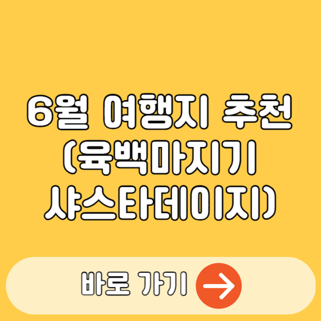 평창 육백마지기 샤스타데이지 6월 여행지 명소