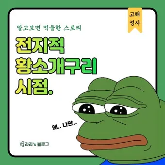 우리나라에 서식하는 개구리 두꺼비 종류 및 분포 지역_18
