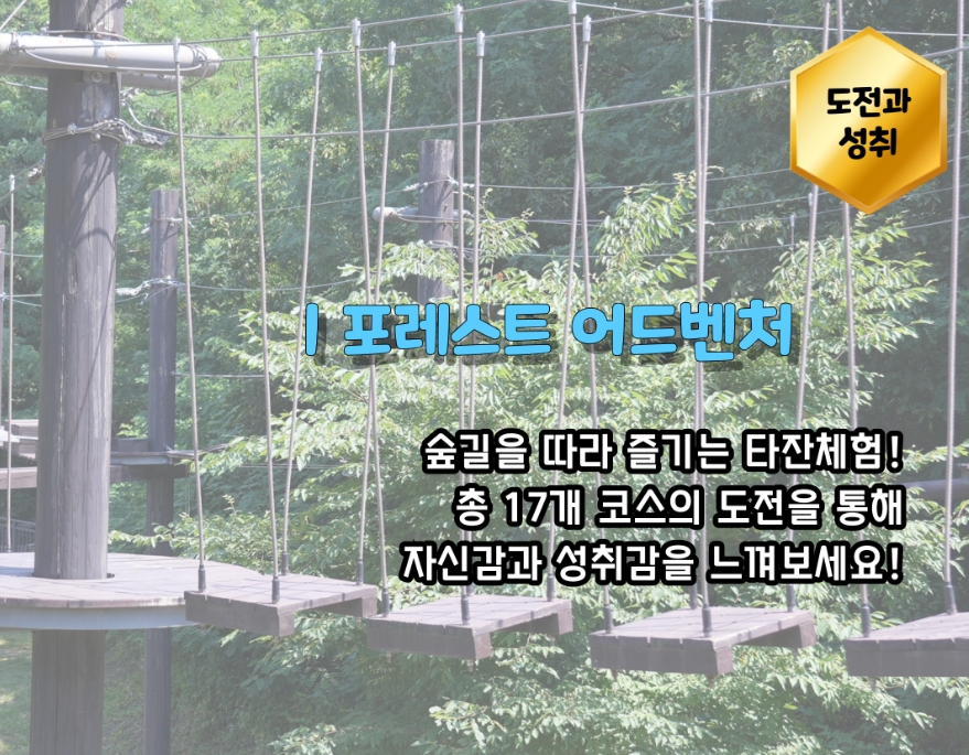 포레스트 어드벤처