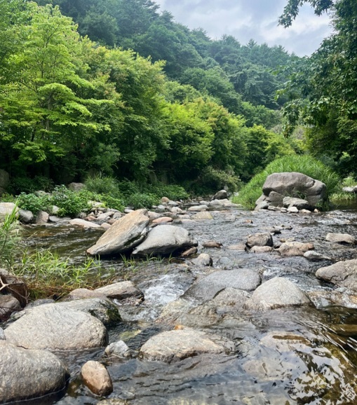 동네한바퀴-가평-솥뚜껑-닭볶음탕-산내들솥뚜껑닭볶음탕