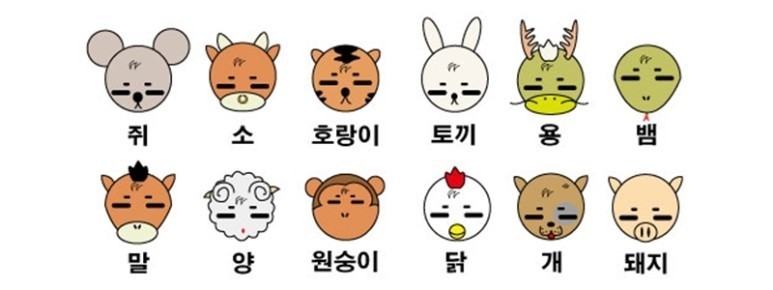 2025년 올해의 사주 운세