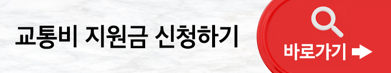 청소년 교통비 지원 최신