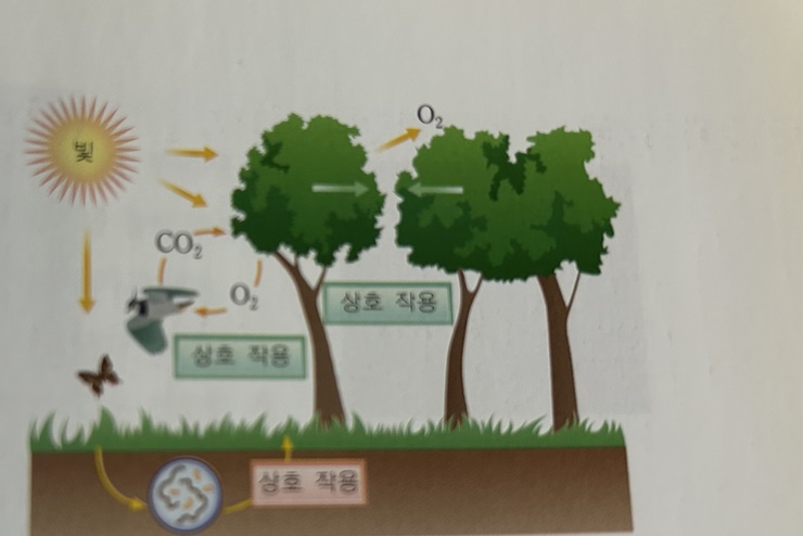 상호작용