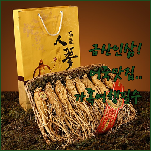 충남 금산 가족 여행 코스 금산인삼약..