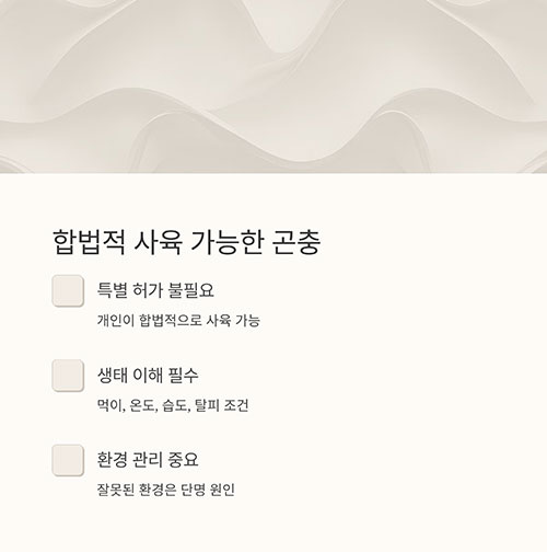 사마귀, 정말 집에서 키울 수 있을까?