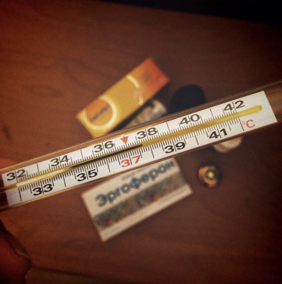 2024년 독감 예방접종