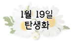 이 이미지를 클릭하시면 1월 19일 탄생화에 관한 글로 이동됩니다.