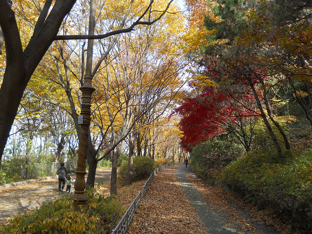 걷고 사랑하며 : 단풍이 가장 아름다운 안산자락길