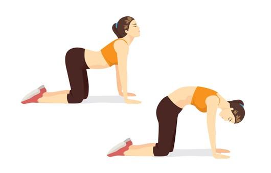 허리 & 등 스트레칭 (2분)