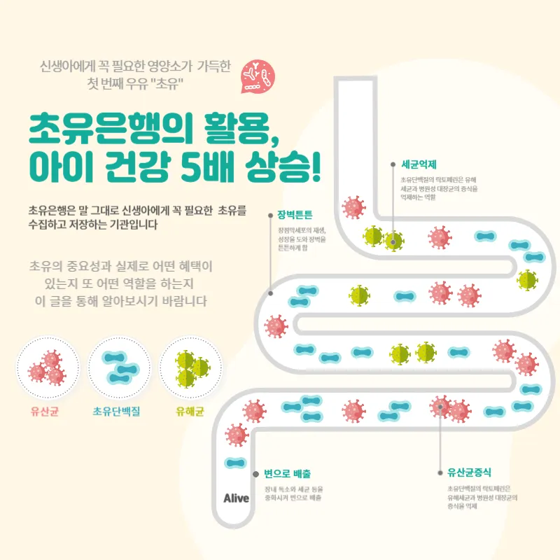 초유은행의 활용, 아이 건강 5배 상승!