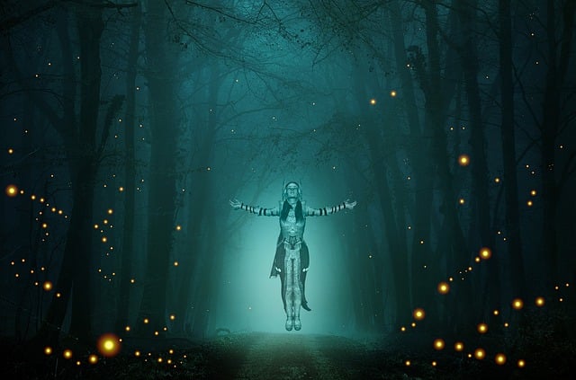 무주 반딧불축제 관련 이미지