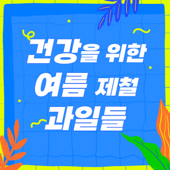 건강을 위한 여름 제철 과일들