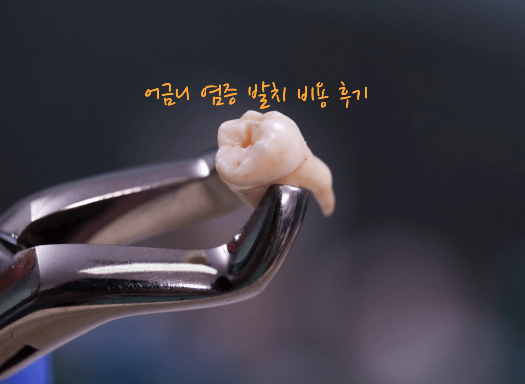 어금니 염증