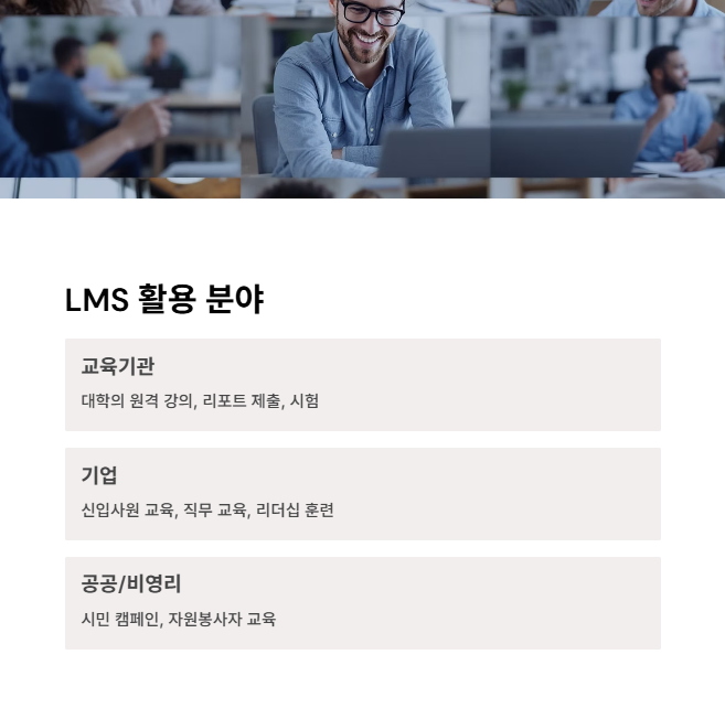 LMS의 활용 분야