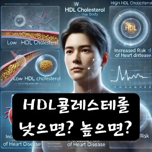 HDL콜레스테롤 중요성 높이는 방법