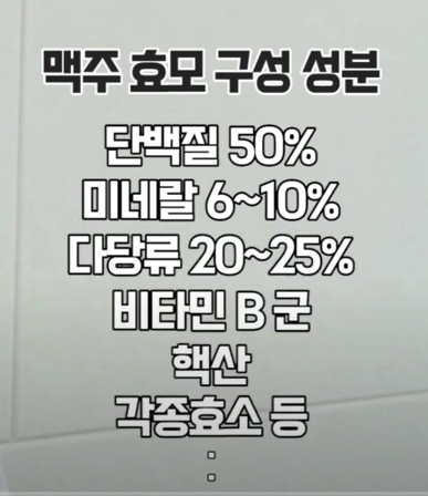 탈모 예방에 효과적인 맥주효모: 효능&amp;#44; 섭취 방법&amp;#44; 그리고 주의 사항