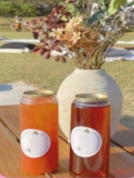 2024 화순 고인돌 가을꽃축제 정보 입장료 주차