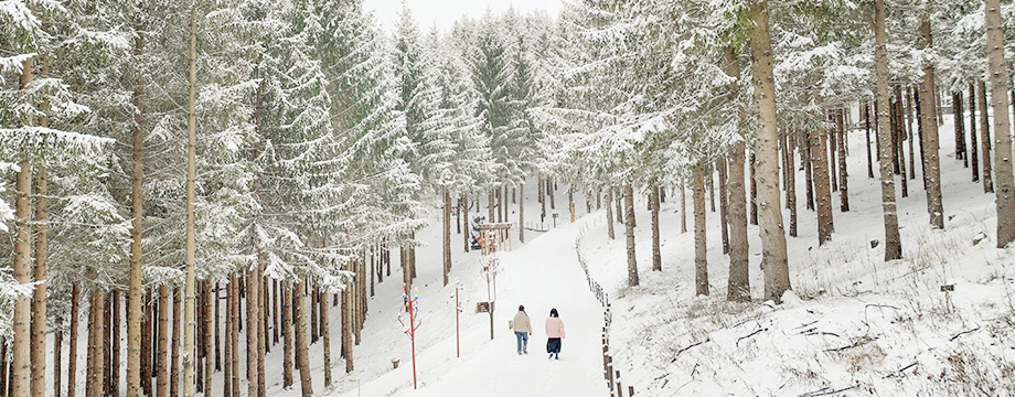 애니포레 내부 사진