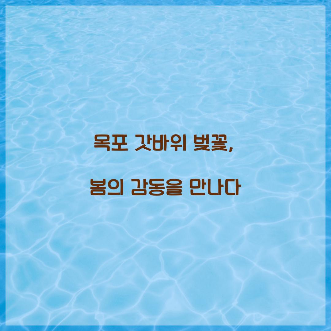 목포 갓바위 벚꽃