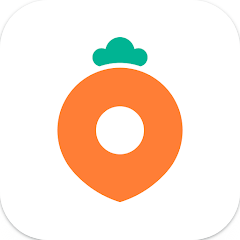 당근마켓, 중고거래, 당근페이, 우리동네, 벼룩시장