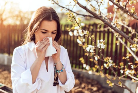 만성 비염과 축농증 차이 (원인, 예방법)