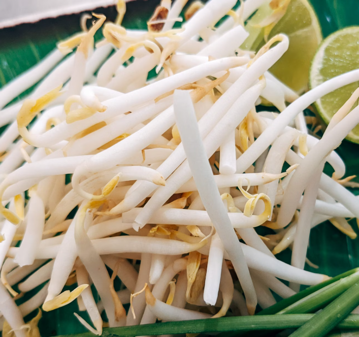 콩나물 효능 부작용 숙취 칼로리