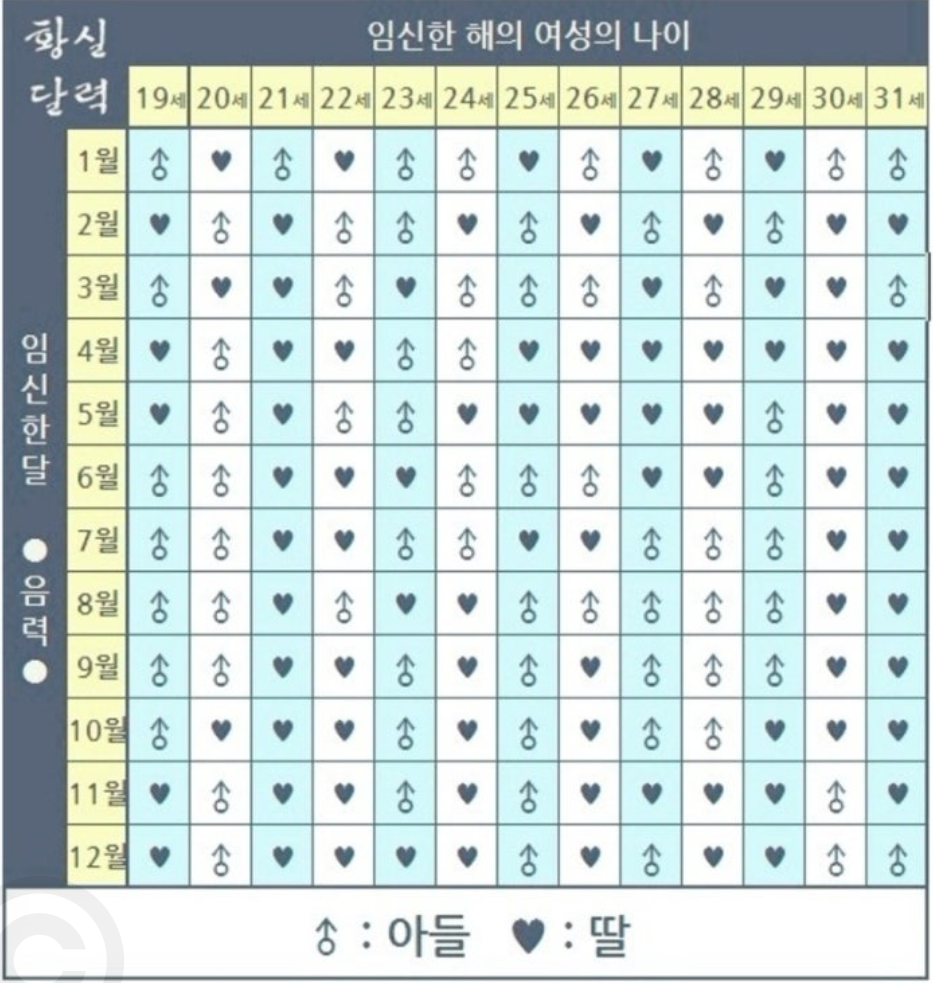 태아 성별 확인 사이트 활용한 중국황실달력 아들 딸 예측 및 임신 초기 확인 후기