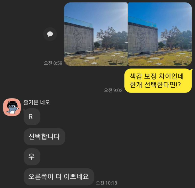 사진 비교 응답 5