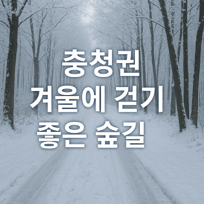 충청권 겨울에 걷기 좋은 숲길 & 트레킹 추천 BEST 7