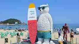 울진 죽변 해안 스카이레일 예약방법