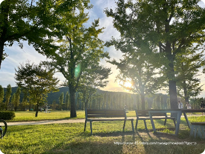 강천섬가을여행