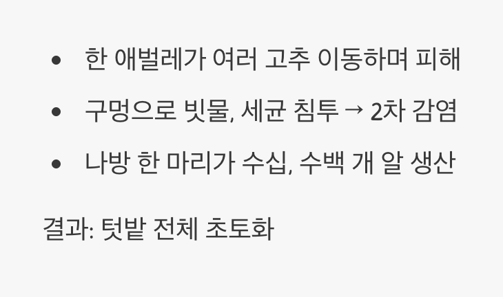 2. 한 마리가 아닌 ‘군단’입니다