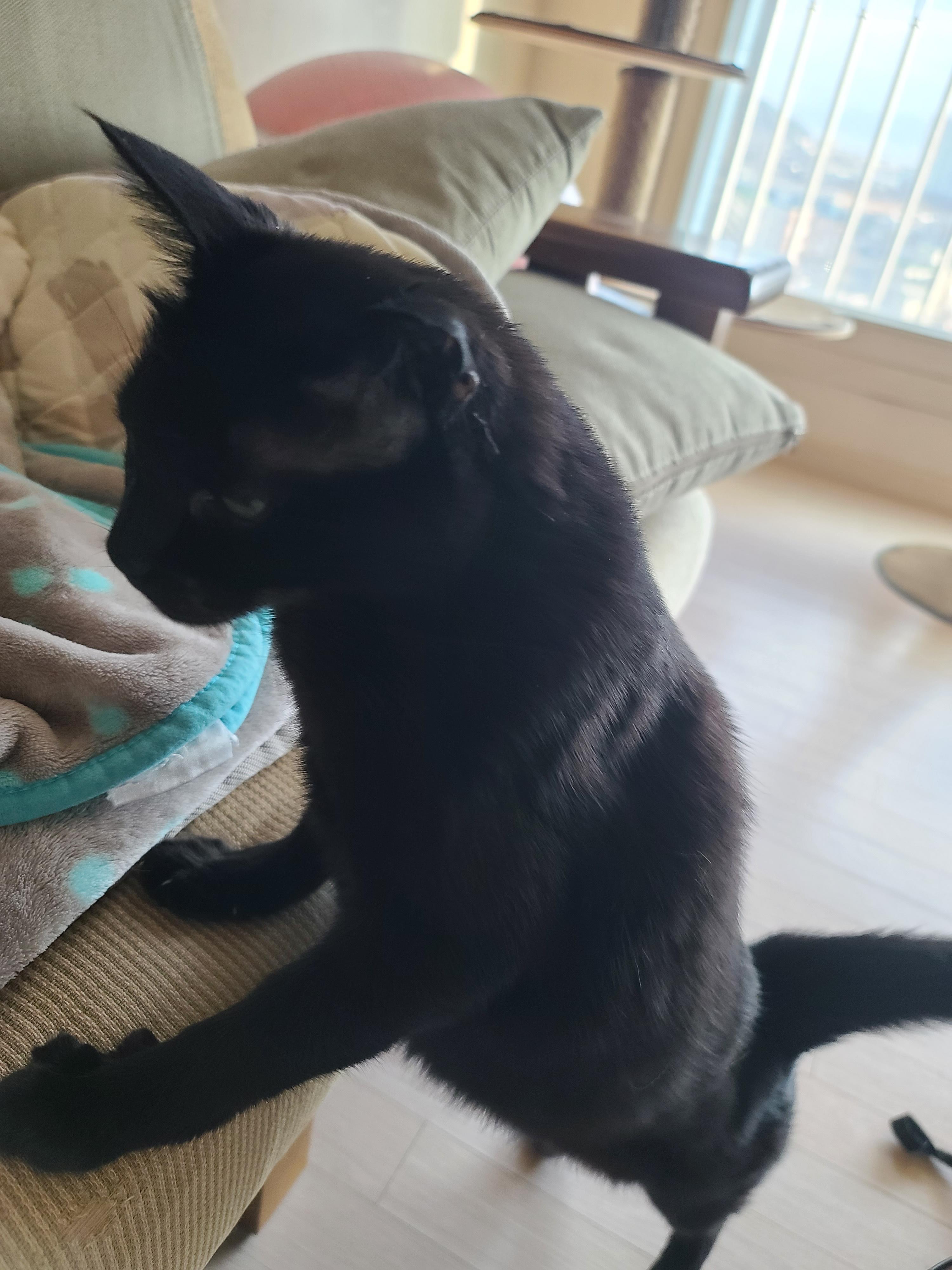 주제를 바꿔버린 건이와 상자놀이터 안의 다다 (feat.오메가3 안먹은 사랑이 ㅋㅋ)