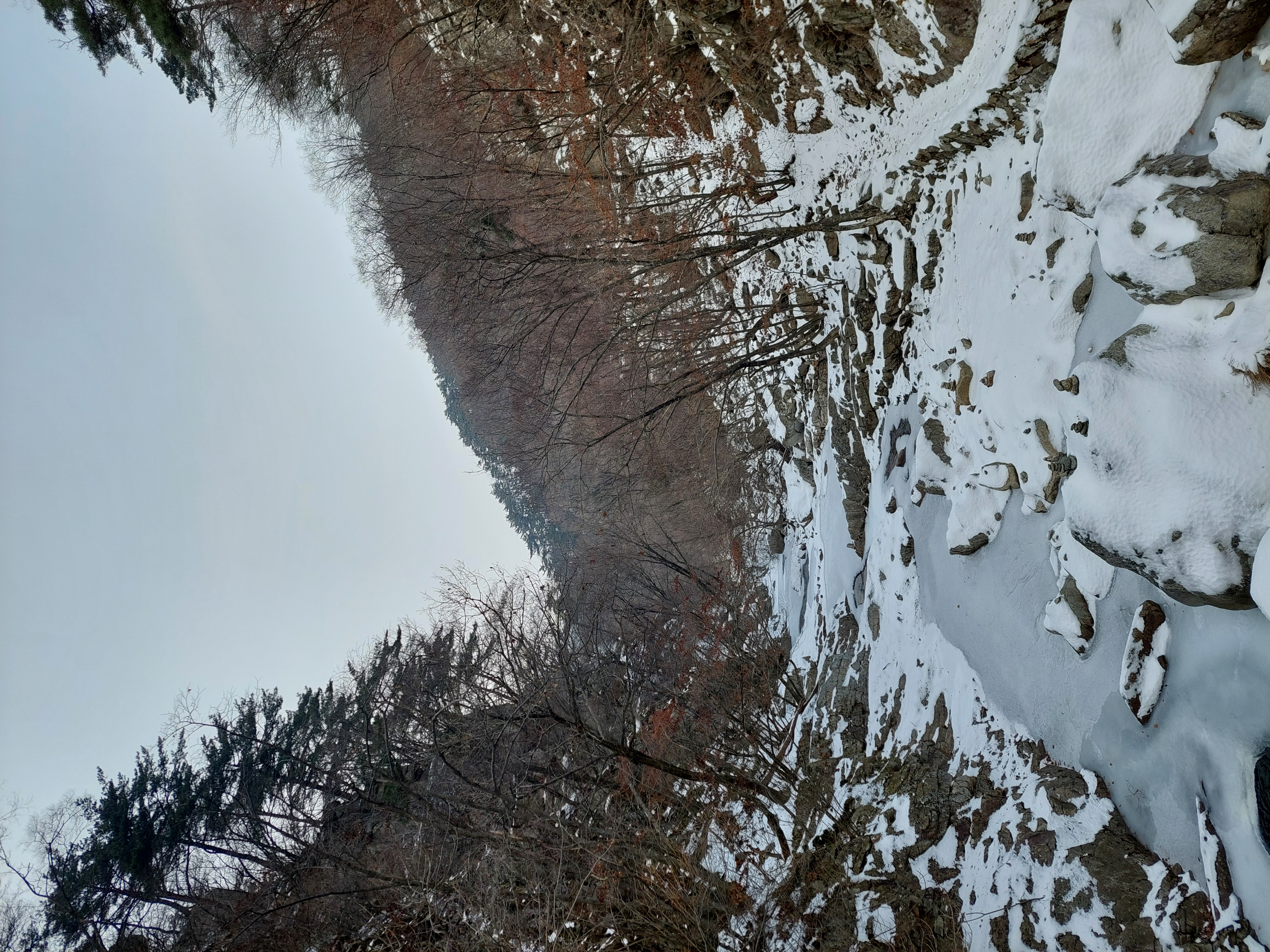유명산