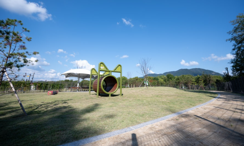 🏞 넓고 쾌적한 반려견 놀이터!