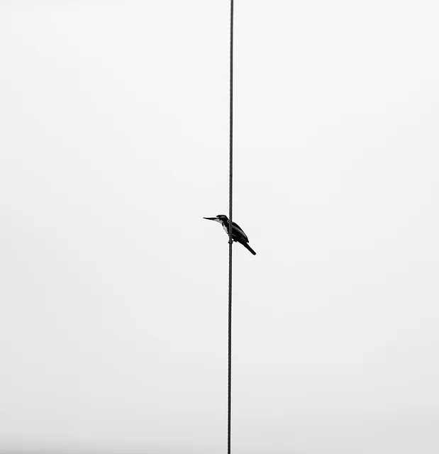 텃밭 가꾸기 모종 선택 파종 시기 물주기 비료 초보 가이드_6